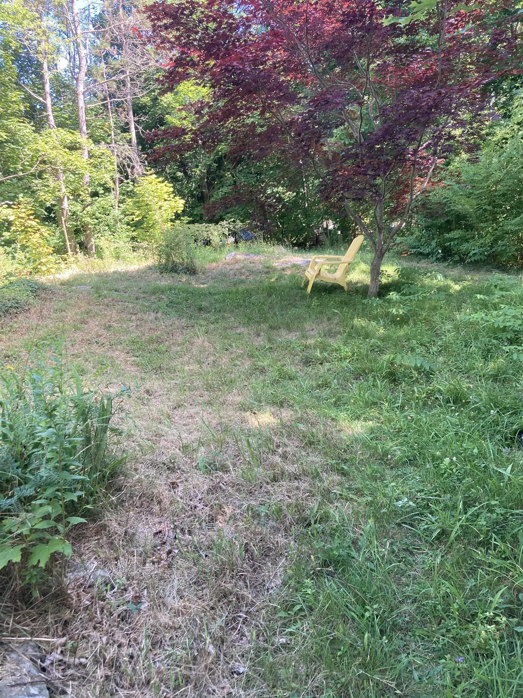 103 School Street, Liverpool, NS (MLS 202519839)