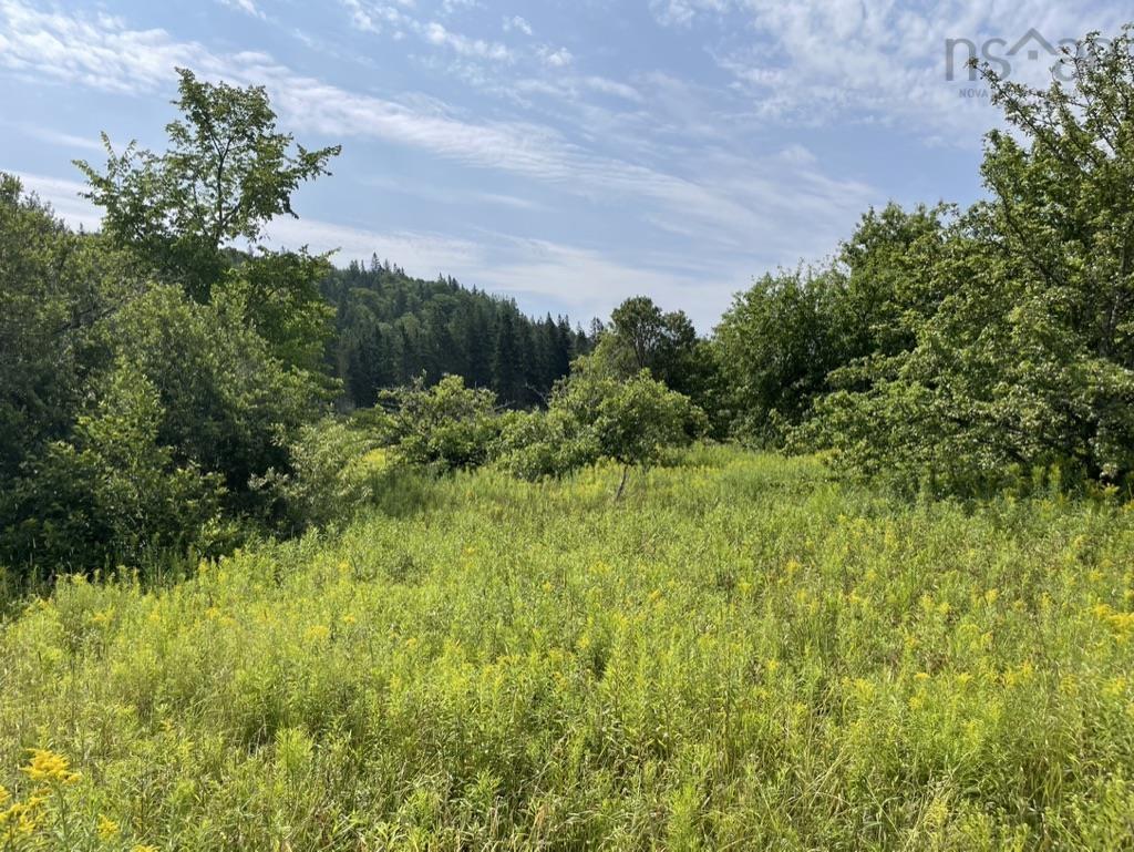 $165,000.00: 3 Lots Meagher Road, Hays River