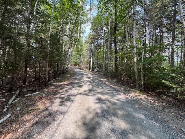 $142,500.00: Lot 25 Beaver Dam Trail, Labelle