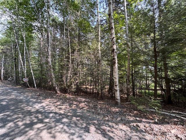 $142,500.00: Lot 25 Beaver Dam Trail, Labelle