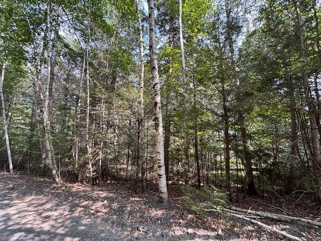 $142,500.00: Lot 25 Beaver Dam Trail, Labelle