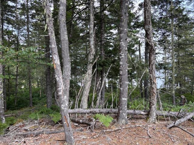 $142,500.00: Lot 25 Beaver Dam Trail, Labelle