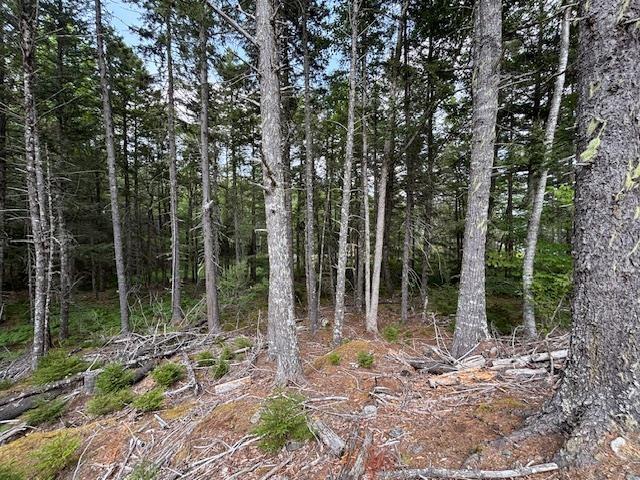 $142,500.00: Lot 25 Beaver Dam Trail, Labelle