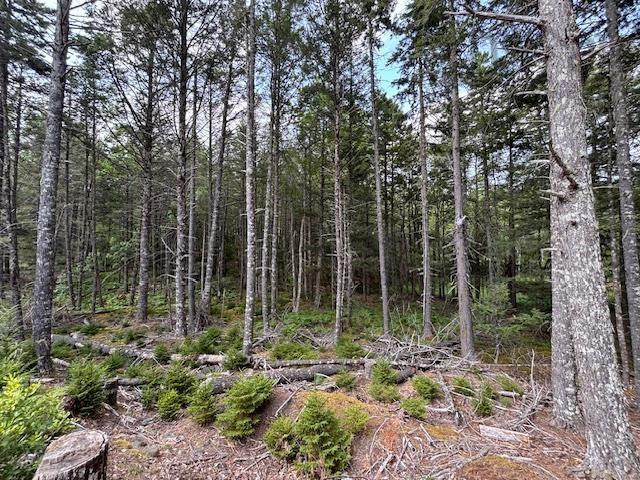 $142,500.00: Lot 25 Beaver Dam Trail, Labelle