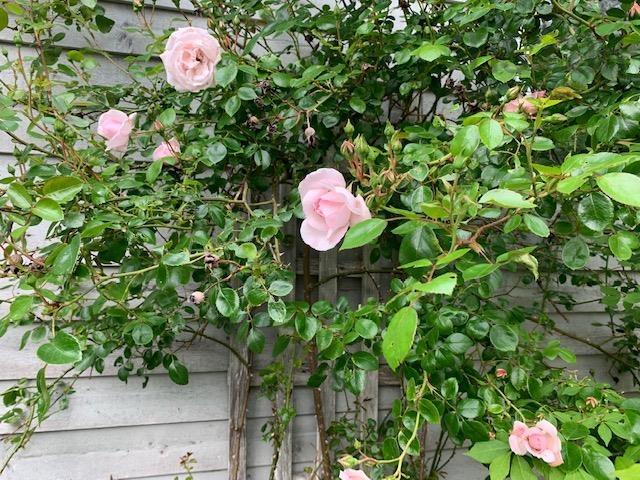 $999,000.00: 45 Southwest Cove Road, Northwest Cove