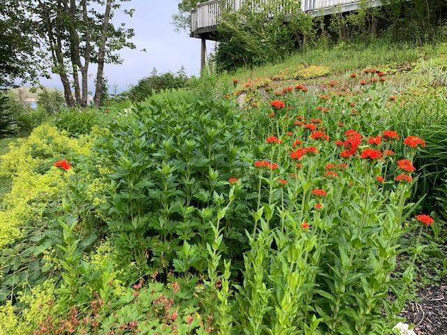 $999,000.00: 45 Southwest Cove Road, Northwest Cove