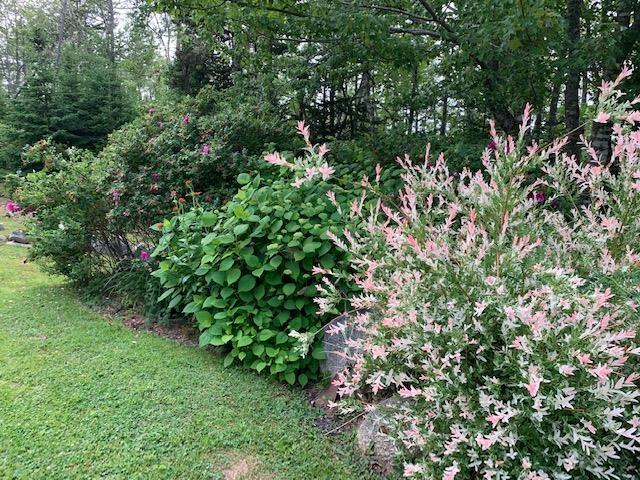 $999,000.00: 45 Southwest Cove Road, Northwest Cove