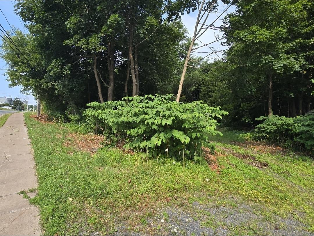 $49,900.00: 23 Munroe Avenue, New Glasgow