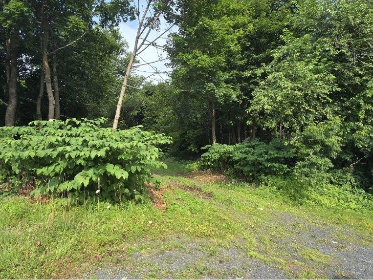 $49,900.00: 23 Munroe Avenue, New Glasgow