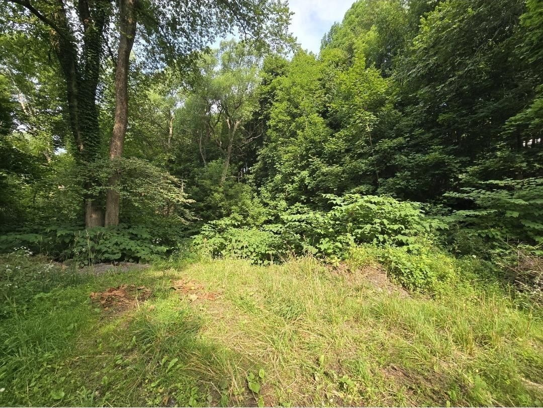 $49,900.00: 23 Munroe Avenue, New Glasgow