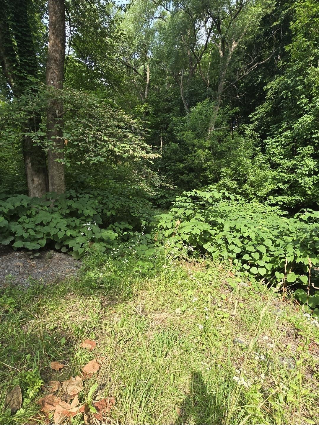 $49,900.00: LOT Munroe Avenue, New Glasgow