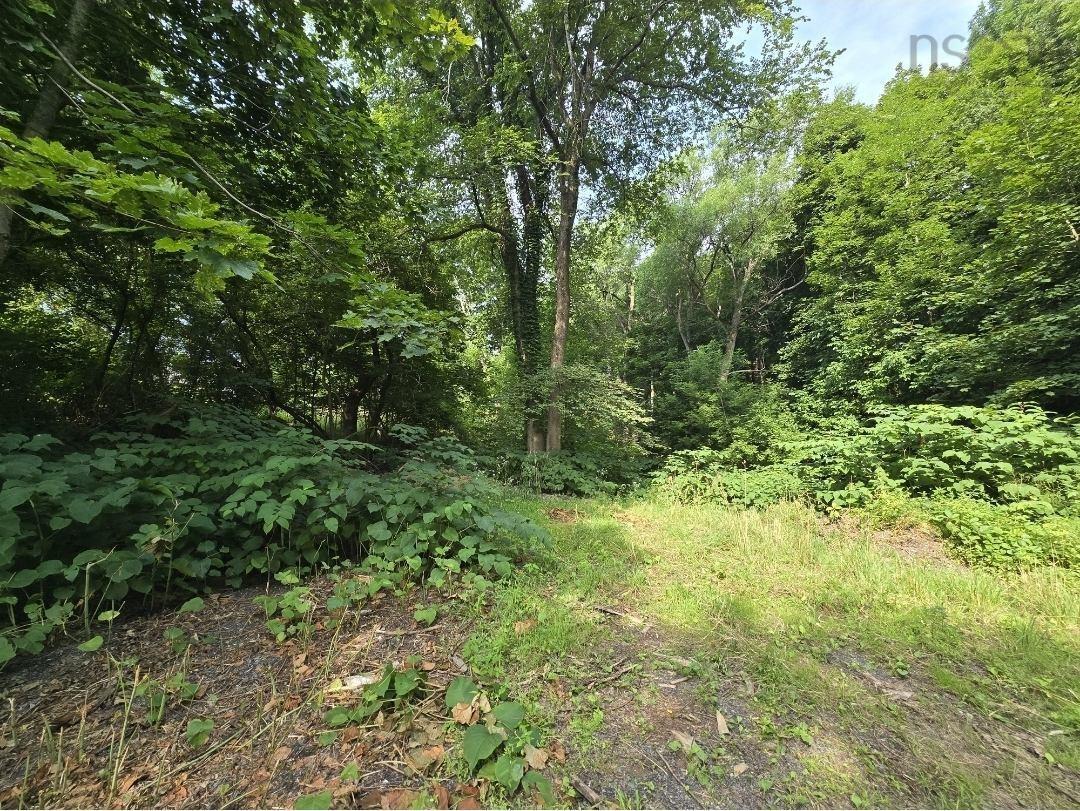 $49,900.00: LOT Munroe Avenue, New Glasgow