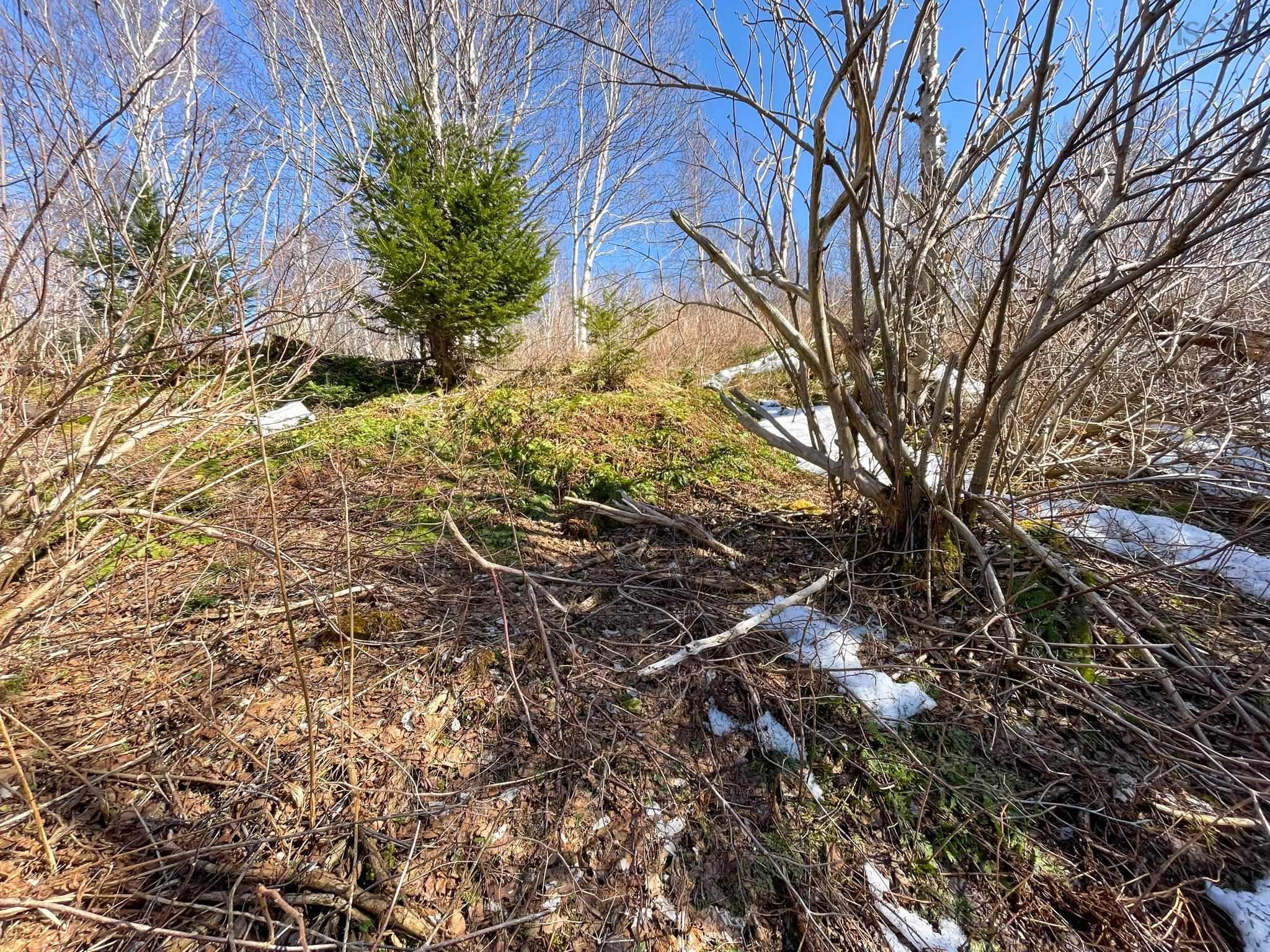 $269,900.00: 590 TC 105 Highway, Boularderie East