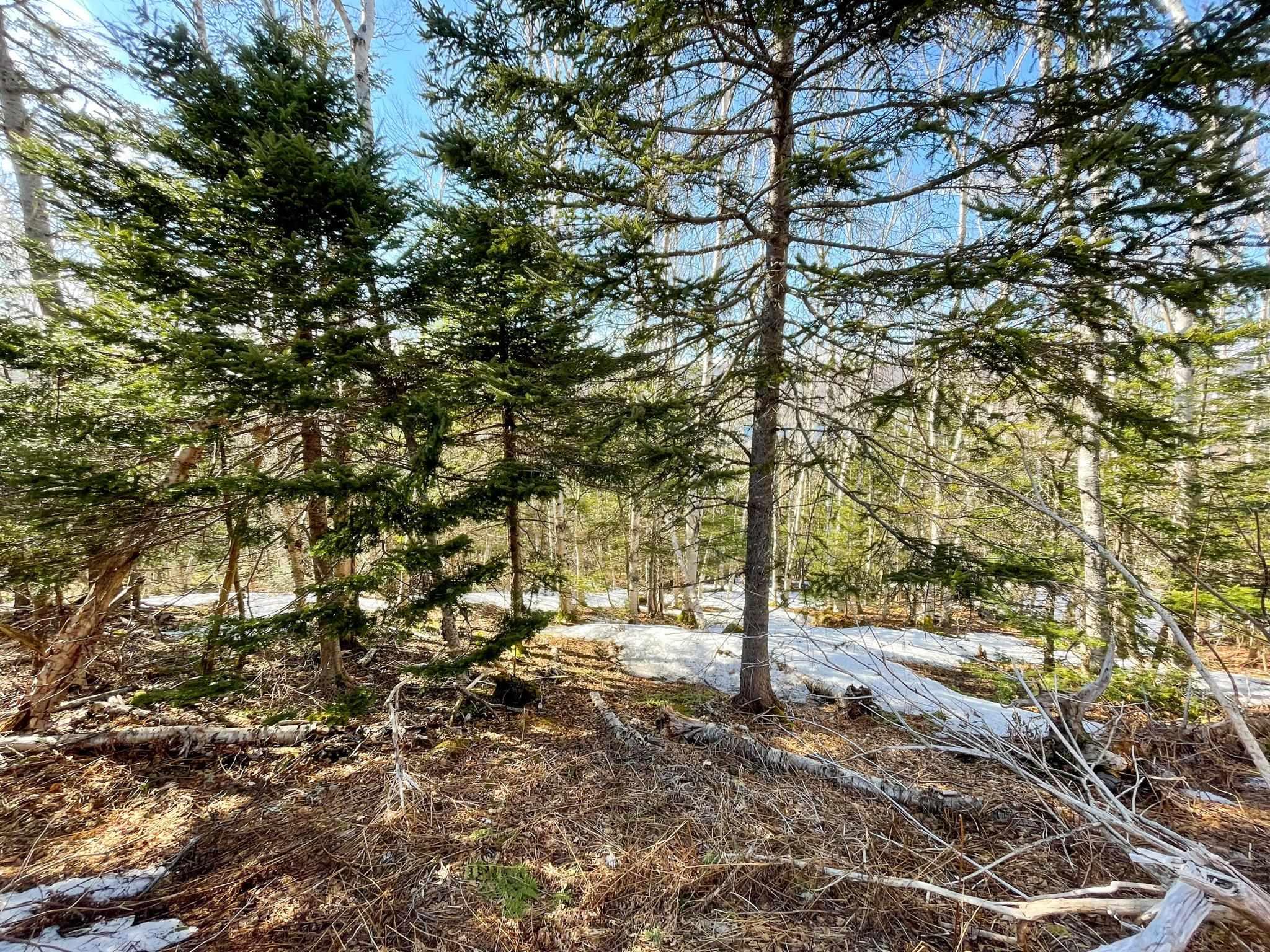 $269,900.00: 590 TC 105 Highway, Boularderie East