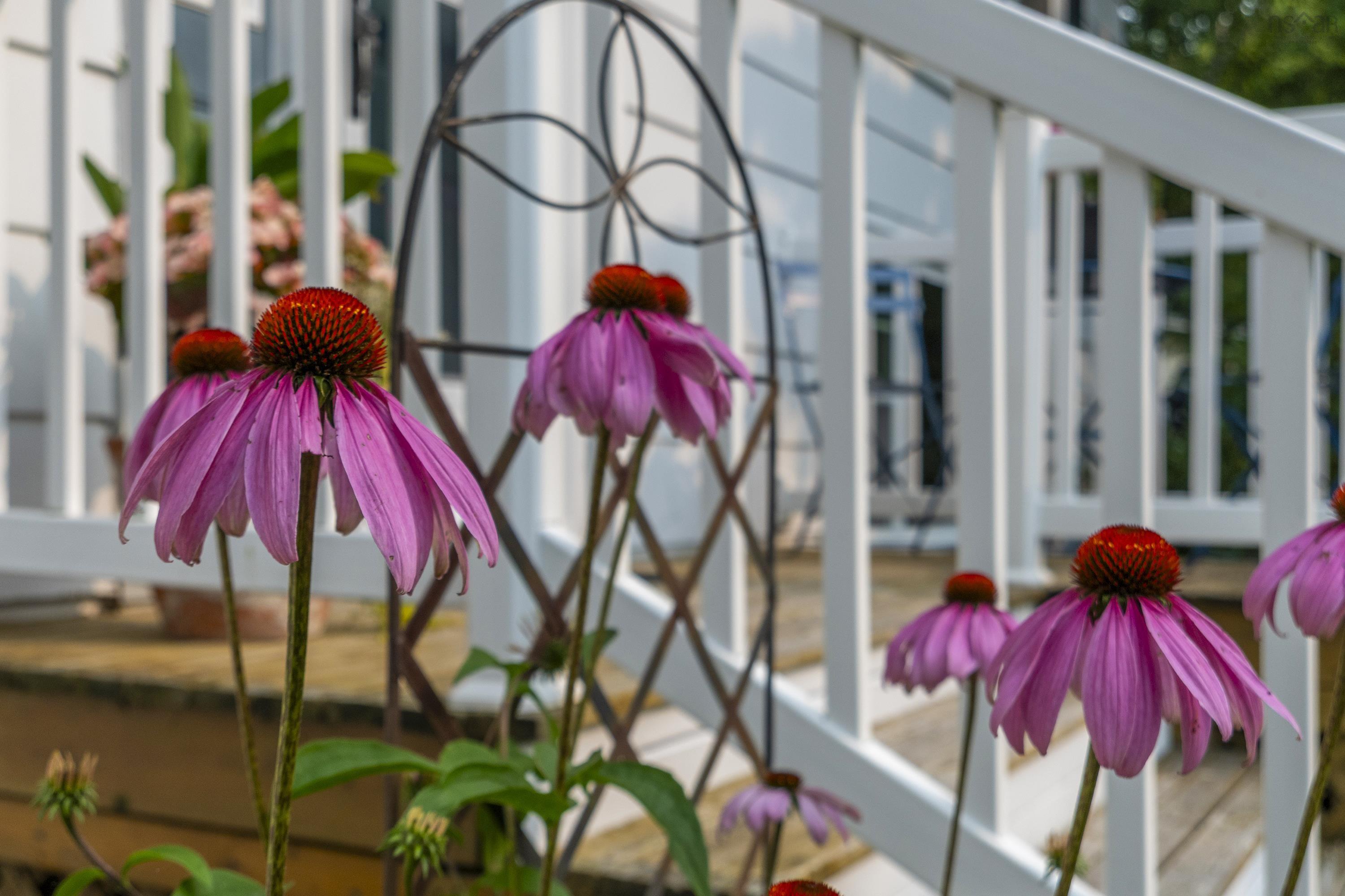 $559,000.00: 15 Landrace Crescent, Dartmouth