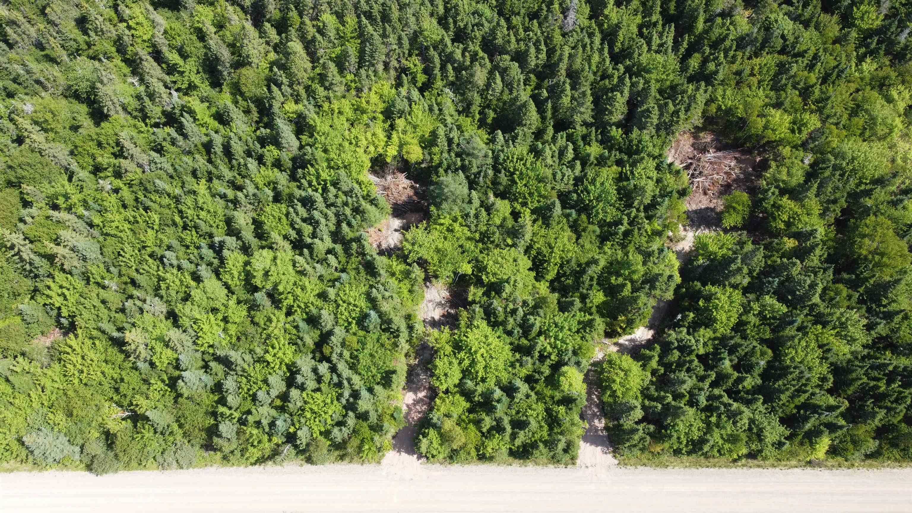 $39,000.00: Lot 4 Calabash Road, Boularderie East