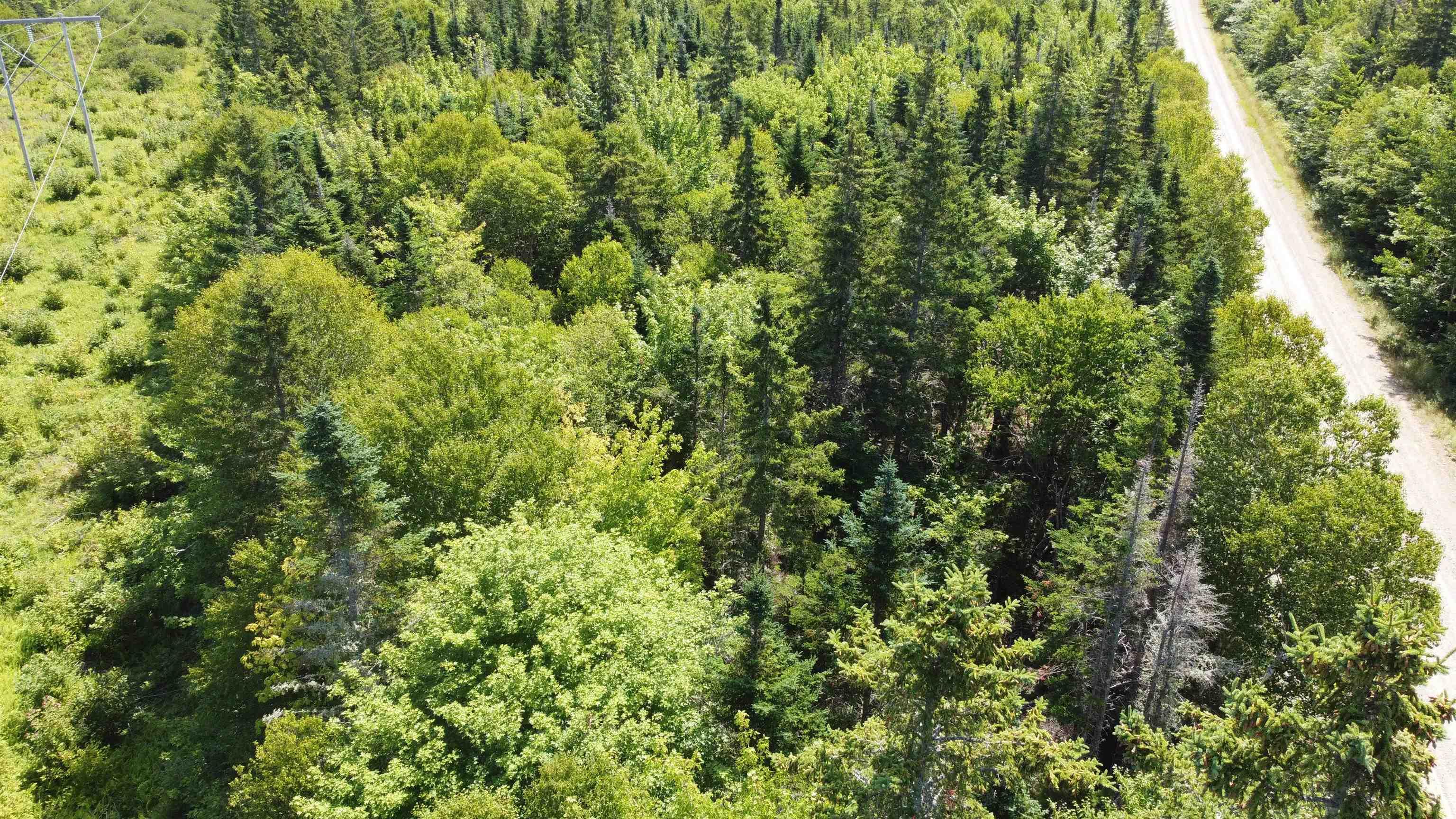 $39,000.00: Lot 5 Calabash Road, Boularderie East