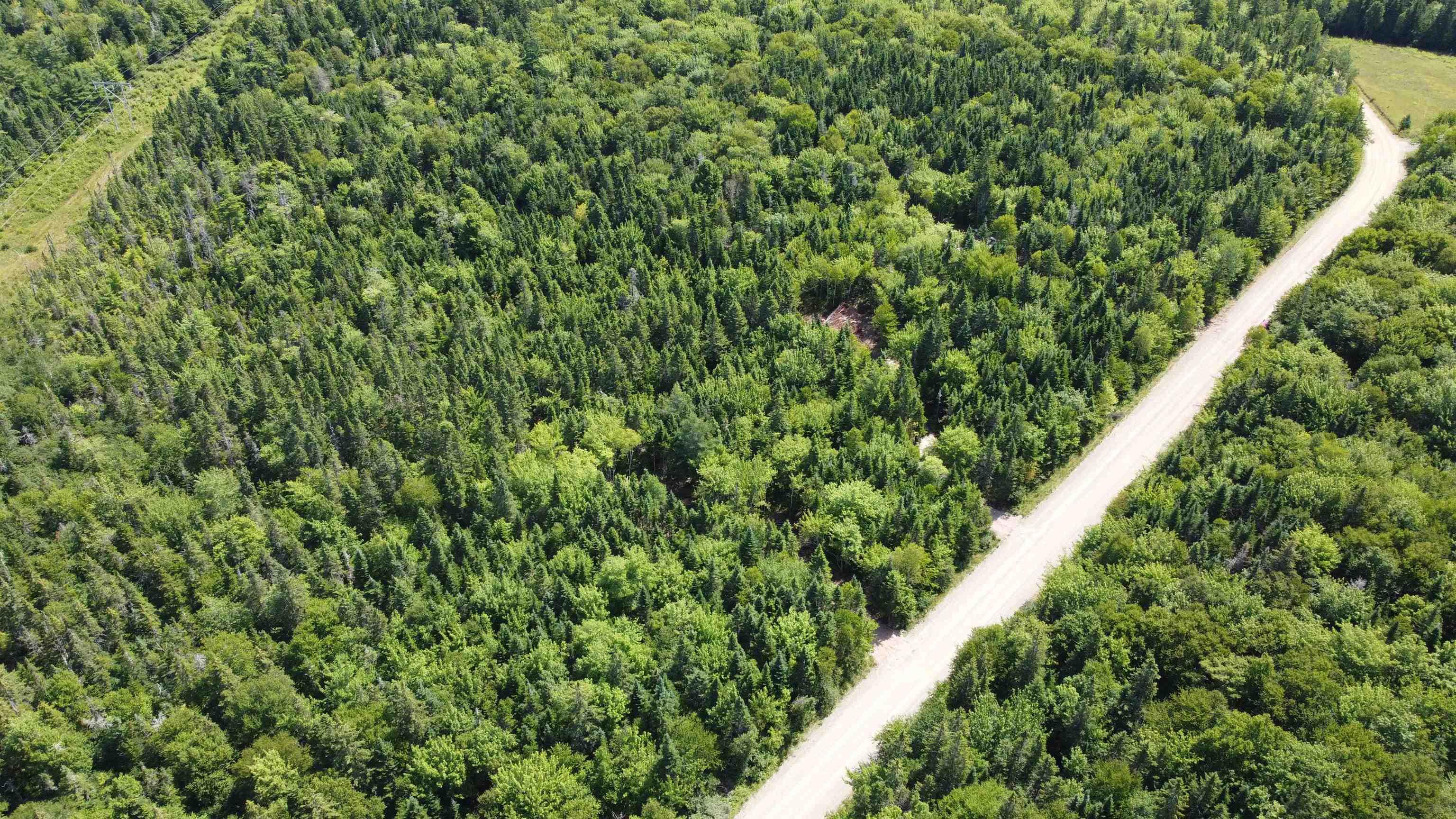 $39,000.00: Lot 5 Calabash Road, Boularderie East