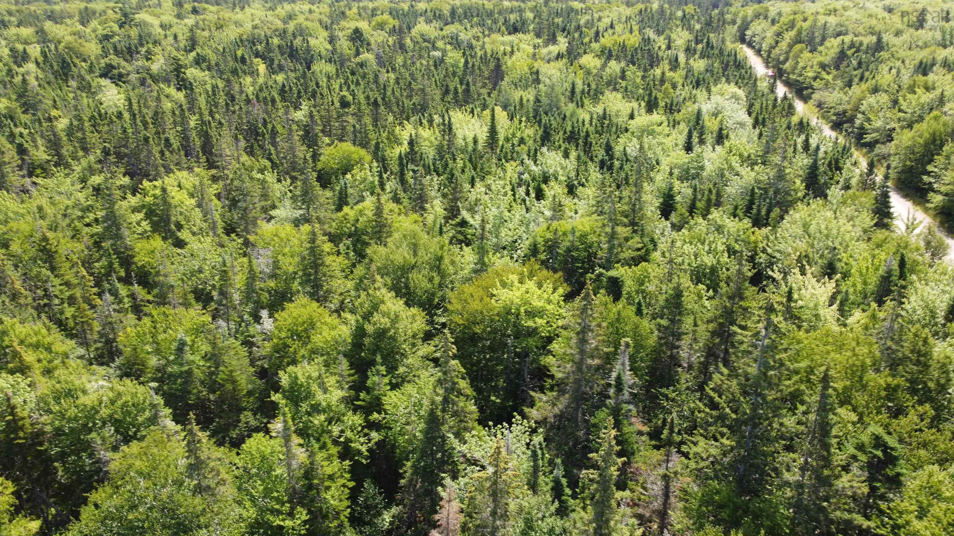 $39,000.00: Lot 6 Calabash Road, Boularderie East