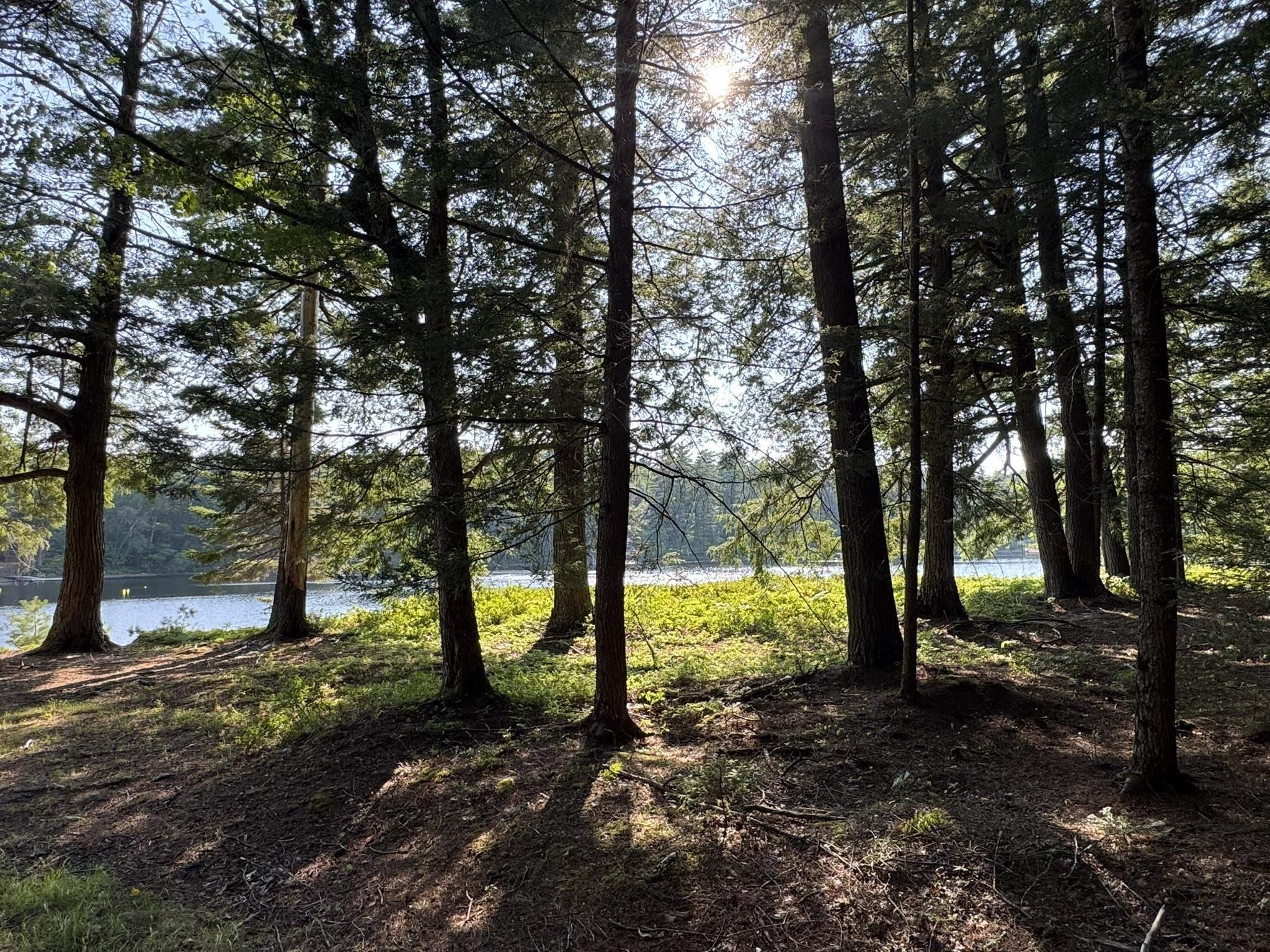 $350,000.00: 67 Jud Freeman Road, Greenfield