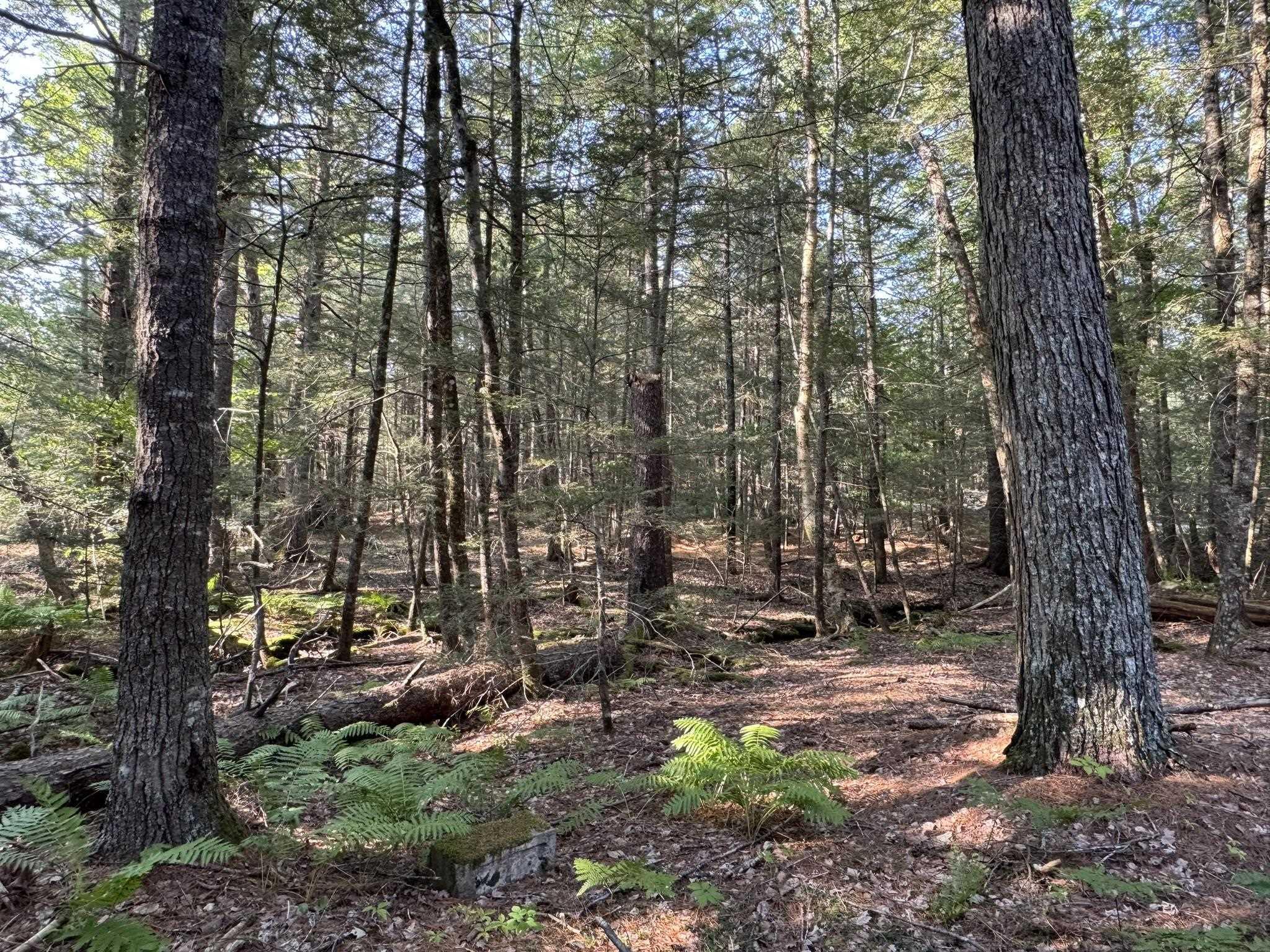 $350,000.00: 67 Jud Freeman Road, Greenfield