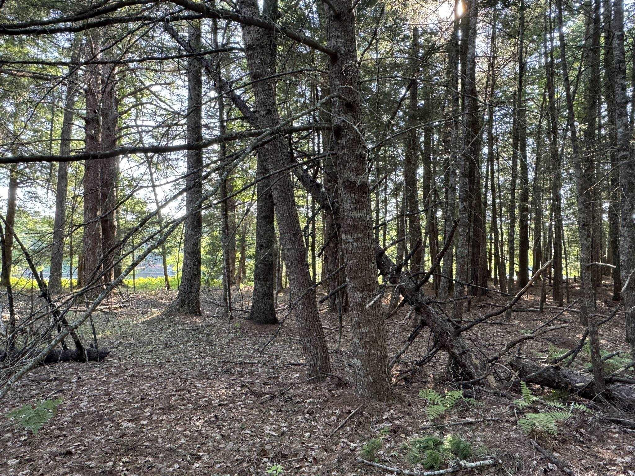 $350,000.00: 67 Jud Freeman Road, Greenfield