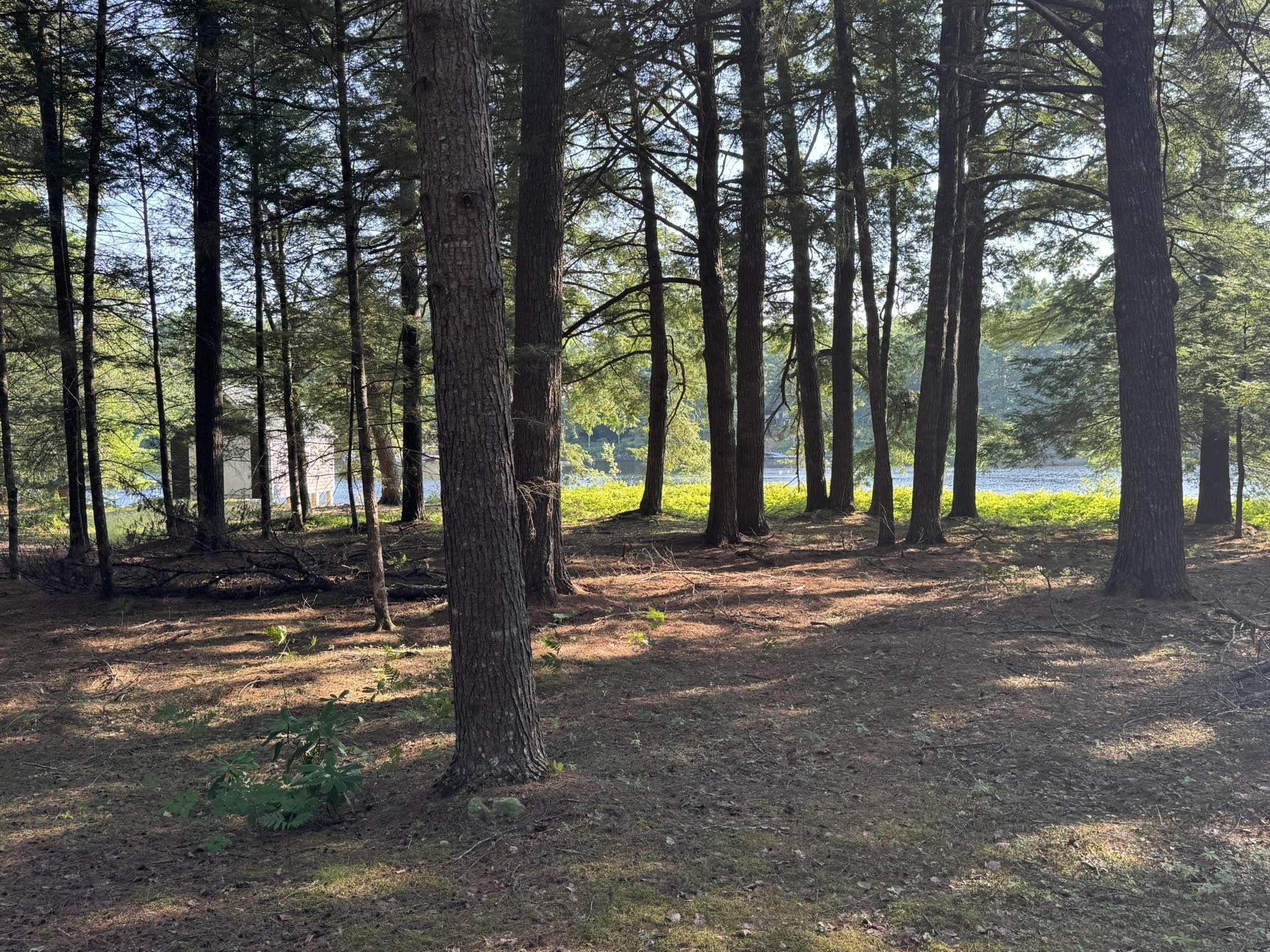 $350,000.00: 67 Jud Freeman Road, Greenfield