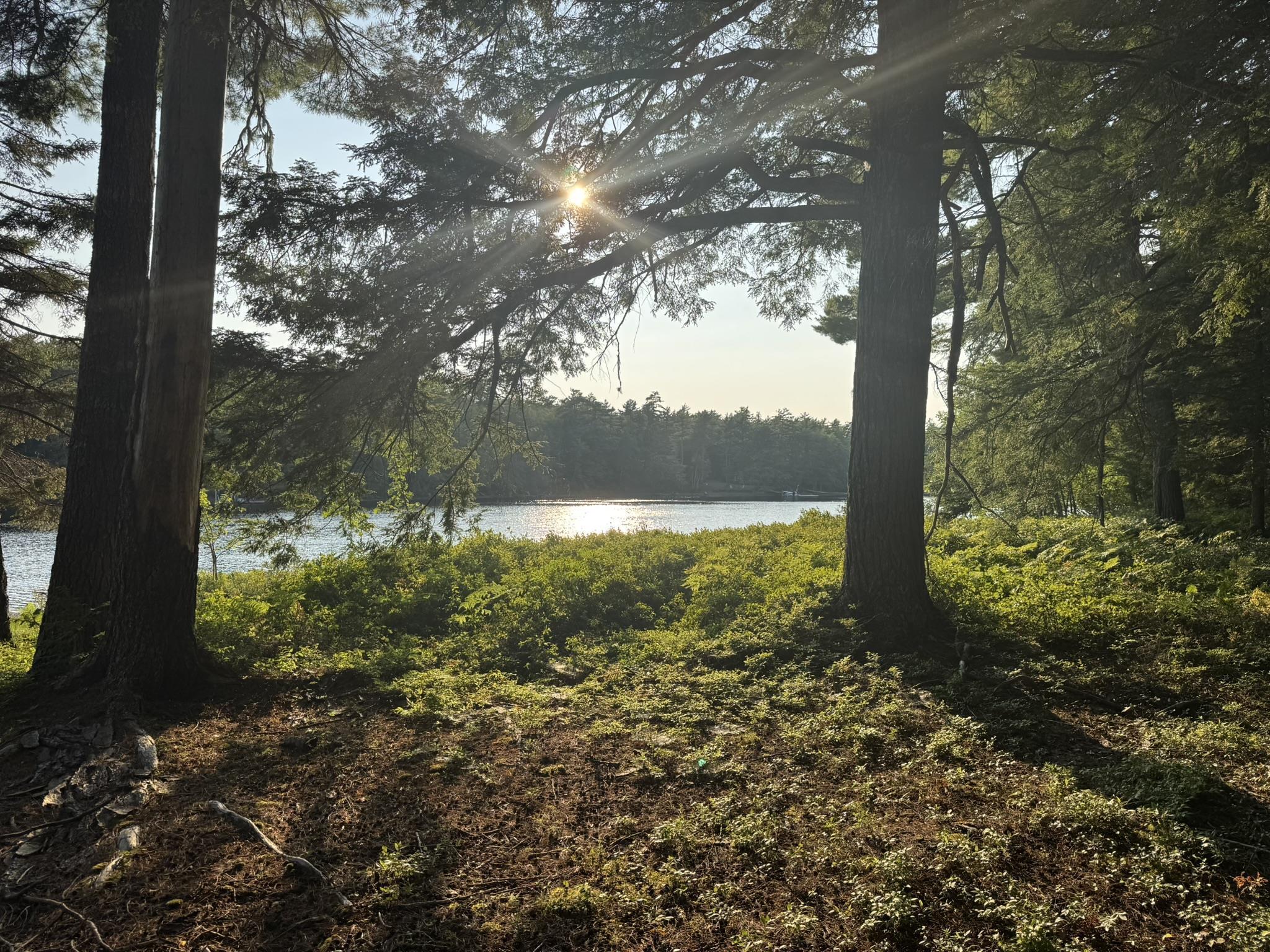 $350,000.00: 67 Jud Freeman Road, Greenfield