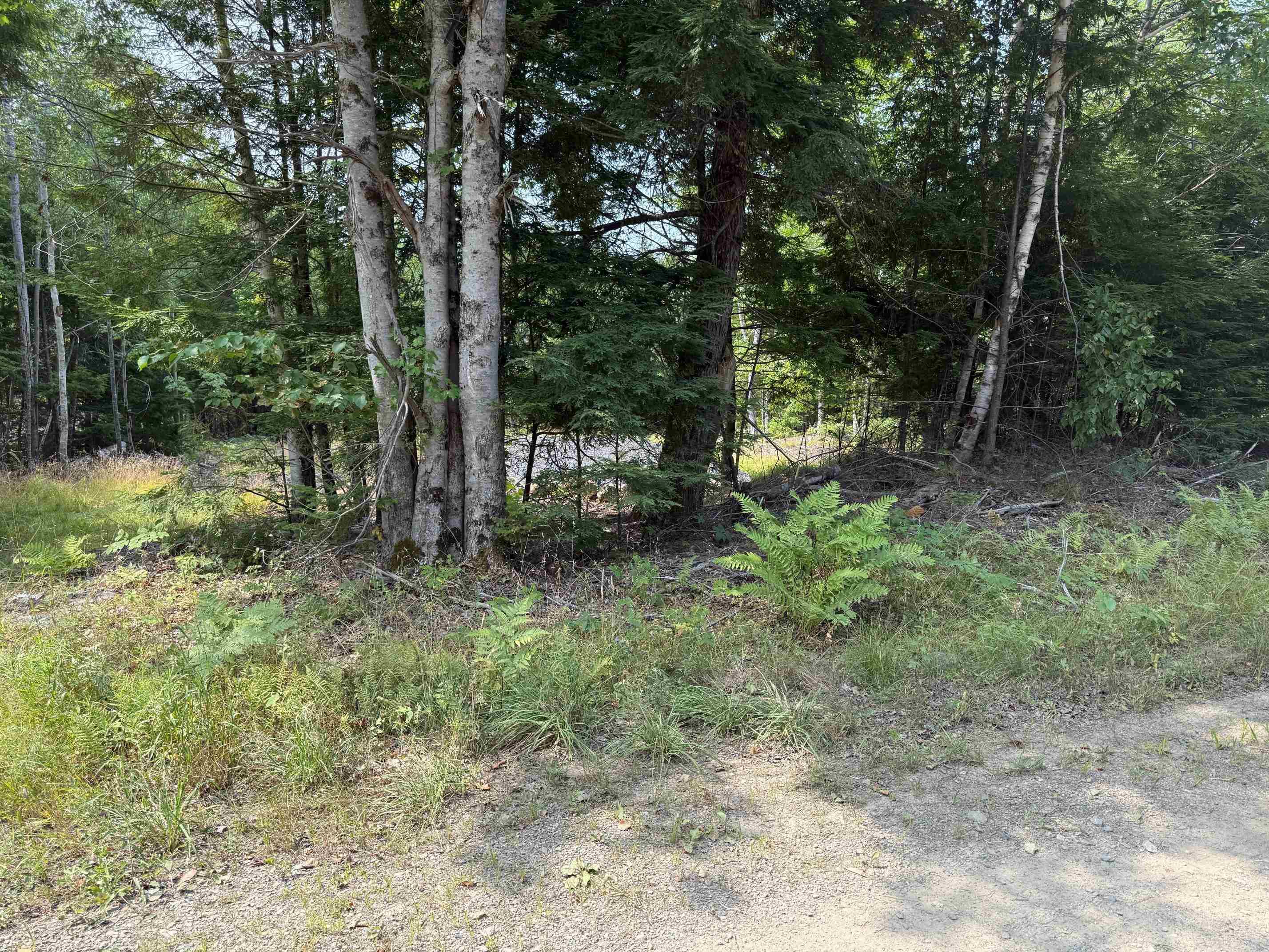 $59,900.00: Lot PID#60724341 Dauphinee Road, Cookville