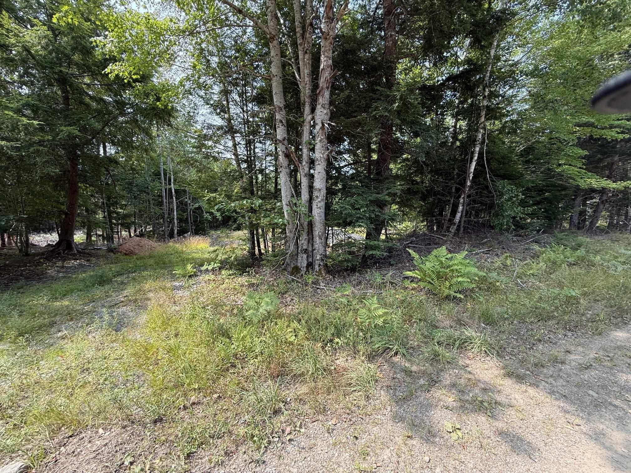 $59,900.00: Lot PID#60724341 Dauphinee Road, Cookville