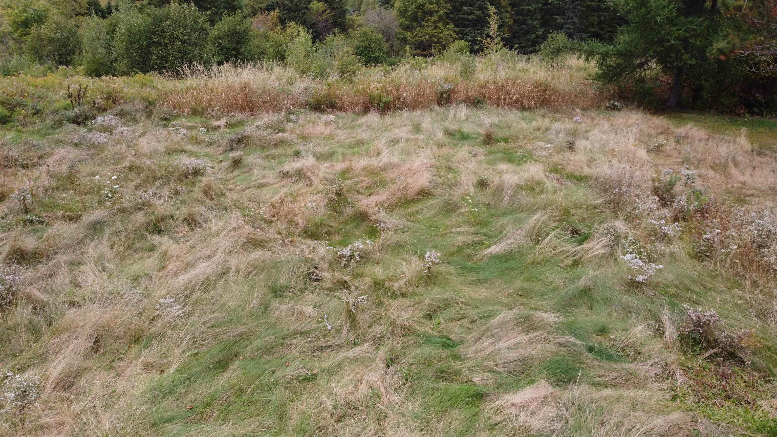 $49,900.00: Lot Greenhill Road, Greenhill