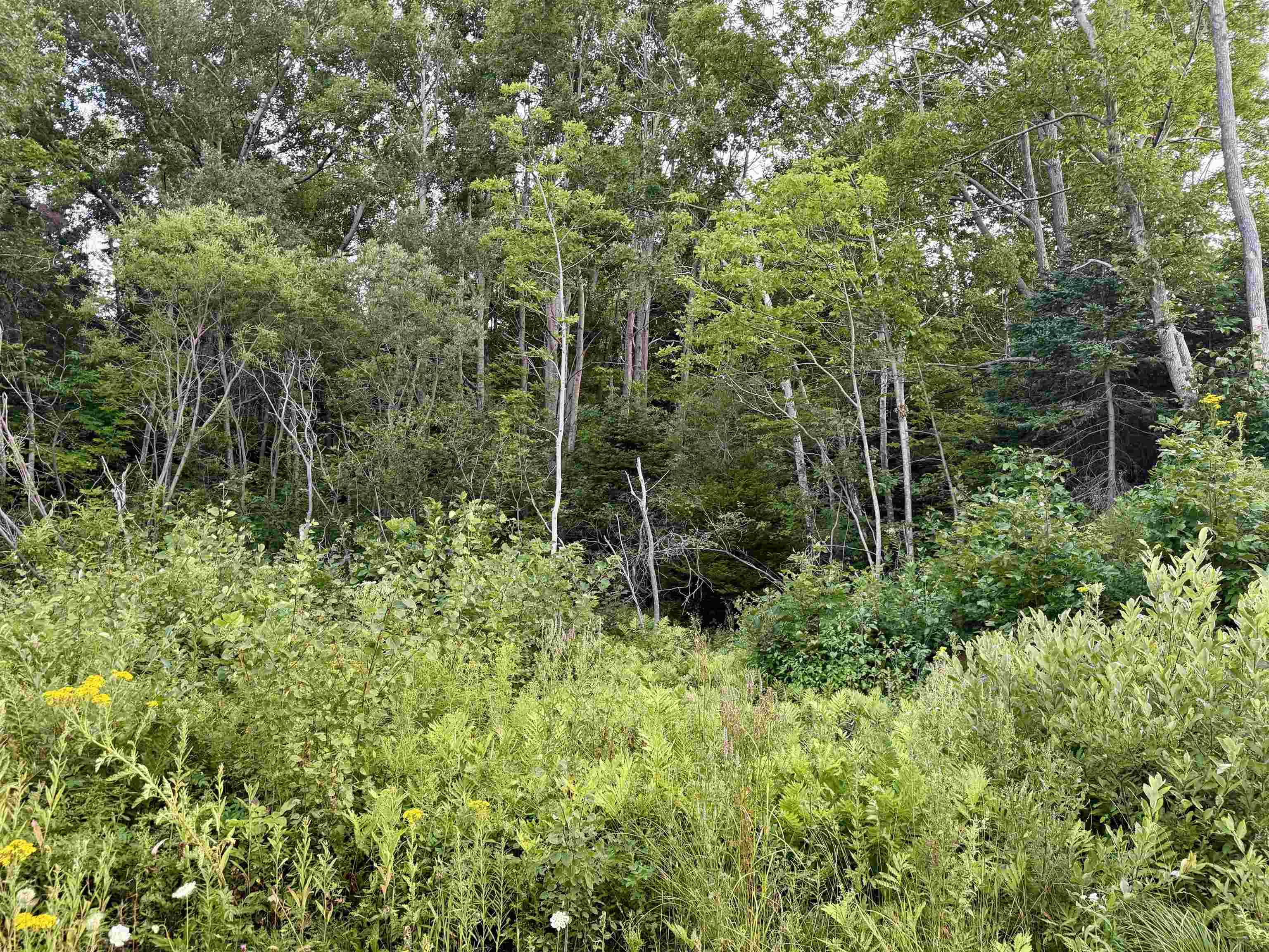 $38,900.00: Lot Highway 4, Aulds Cove