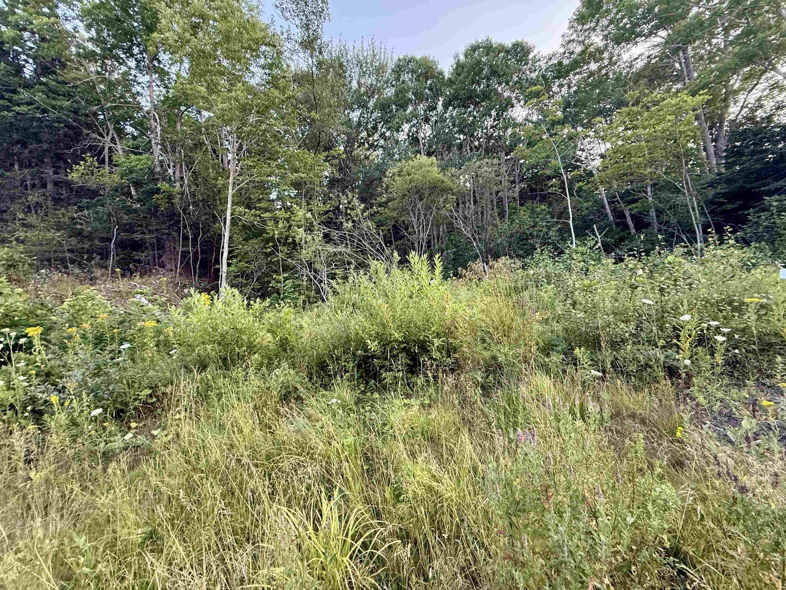 $38,900.00: Lot Highway 4, Aulds Cove