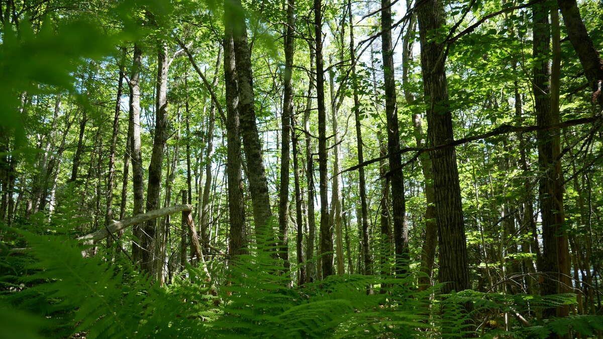 $150,000.00: 798 Coldstream Road, East Quinan