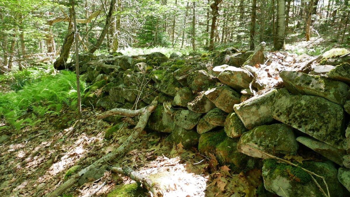 $150,000.00: 798 Coldstream Road, East Quinan