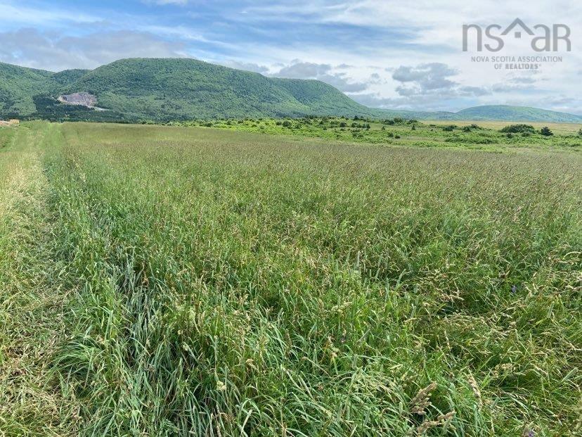 $199,000.00: Cabot Trail, Grand Étang