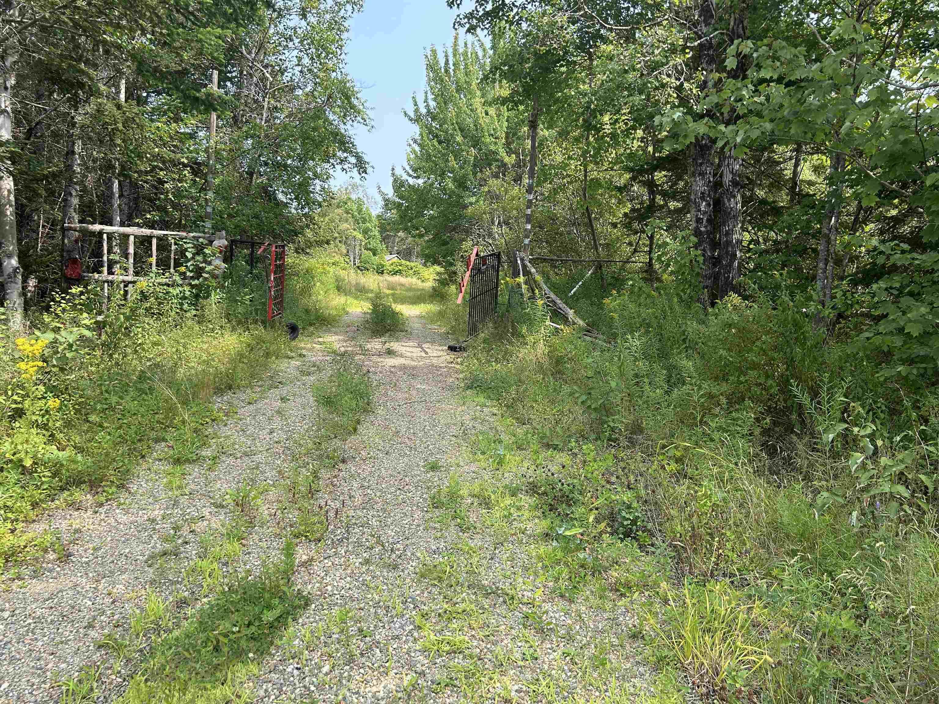 17 Hendsbee Road, Eight Island Lake, NS (MLS 202520163)