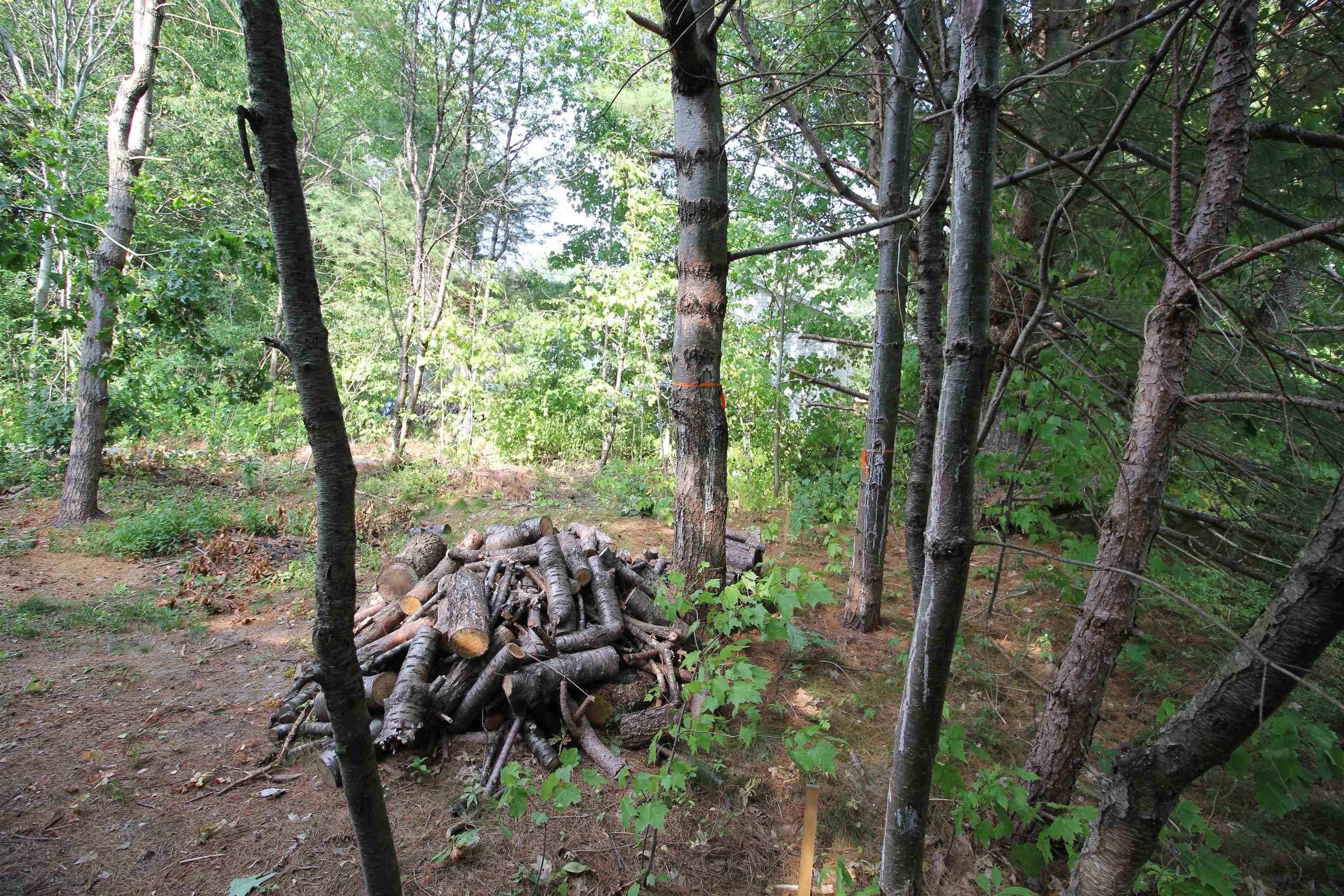 $40,000.00: Highway 1,, Wilmot