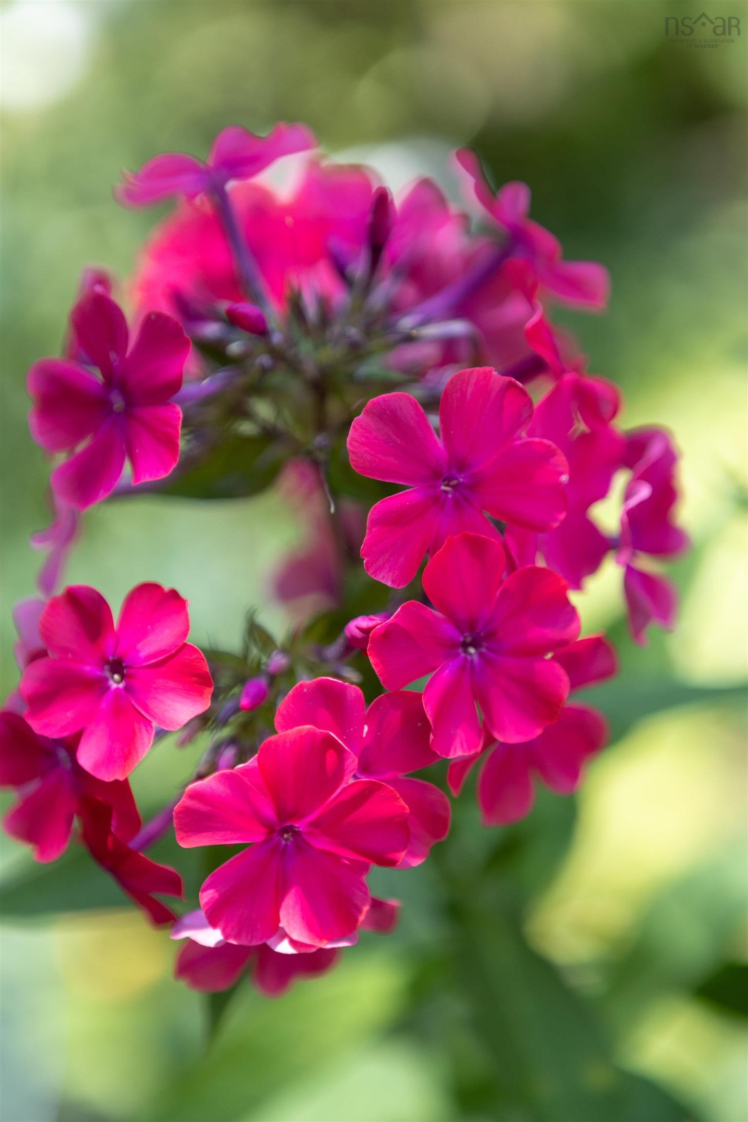 $472,500.00: 100 Lancaster Drive, Dartmouth