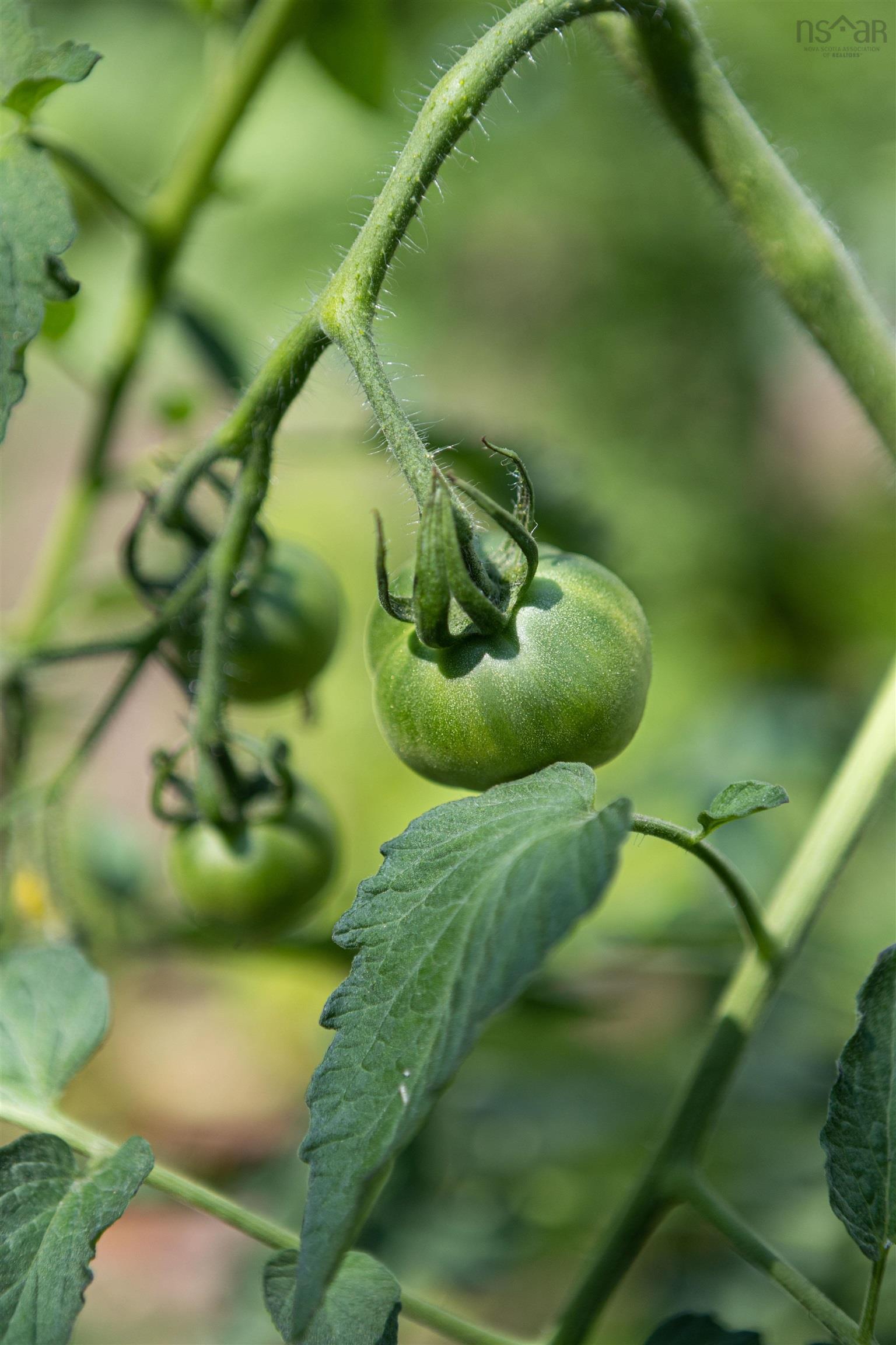 $472,500.00: 100 Lancaster Drive, Dartmouth