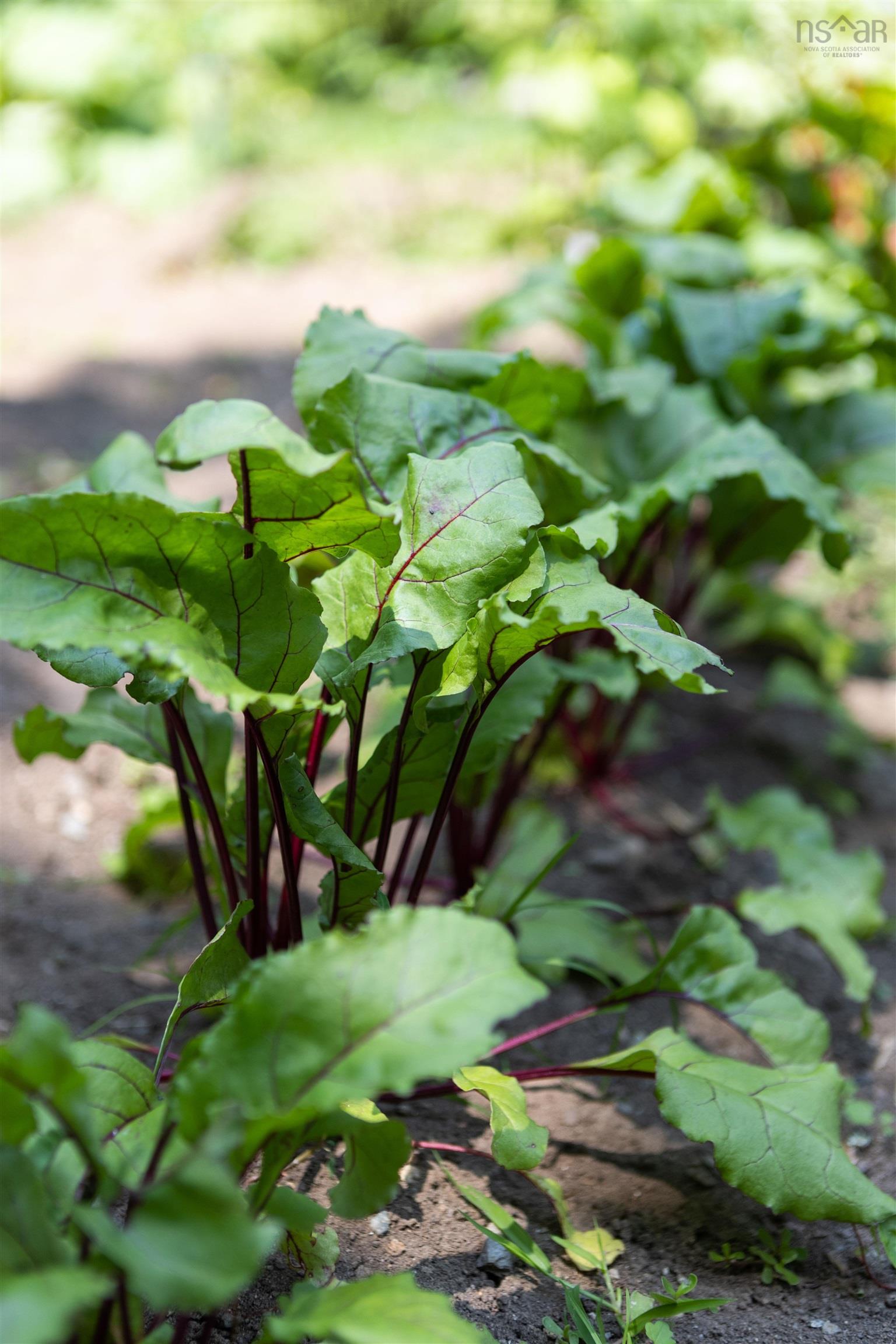 $472,500.00: 100 Lancaster Drive, Dartmouth