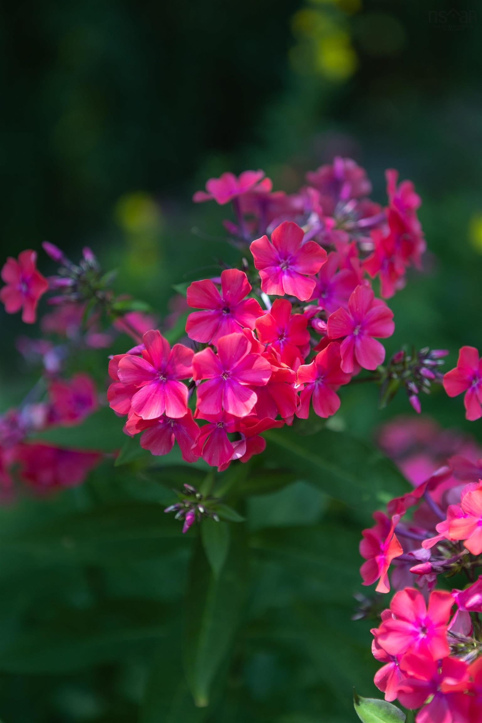 $472,500.00: 100 Lancaster Drive, Dartmouth