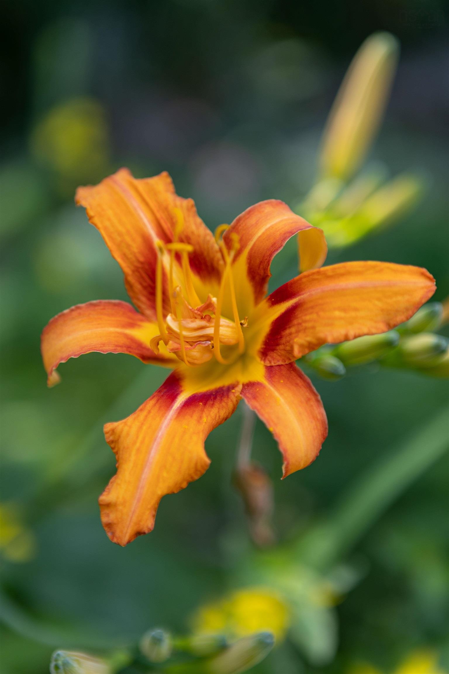 $472,500.00: 100 Lancaster Drive, Dartmouth