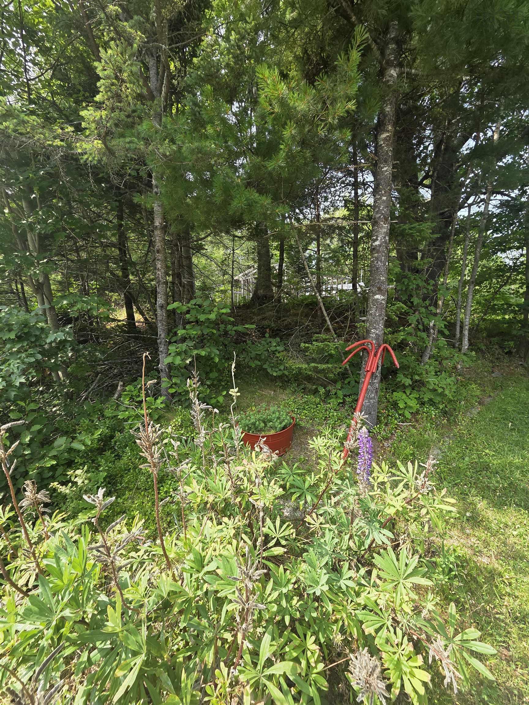 $69,000.00: Highway 103, Sable River