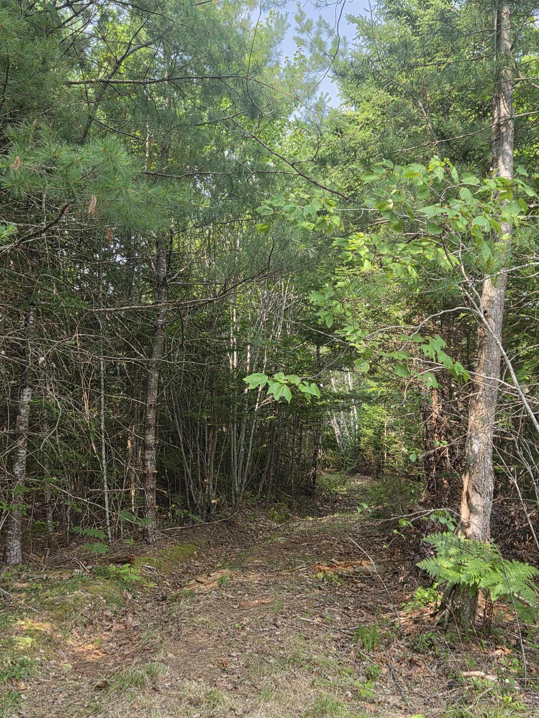 $69,000.00: Highway 103, Sable River