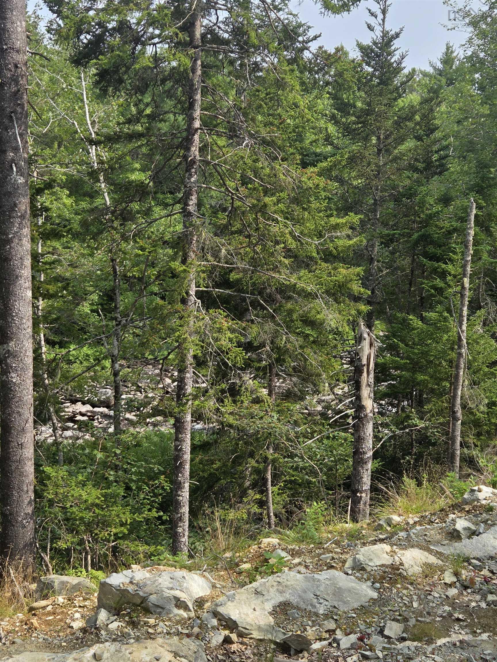 $69,000.00: Highway 103, Sable River