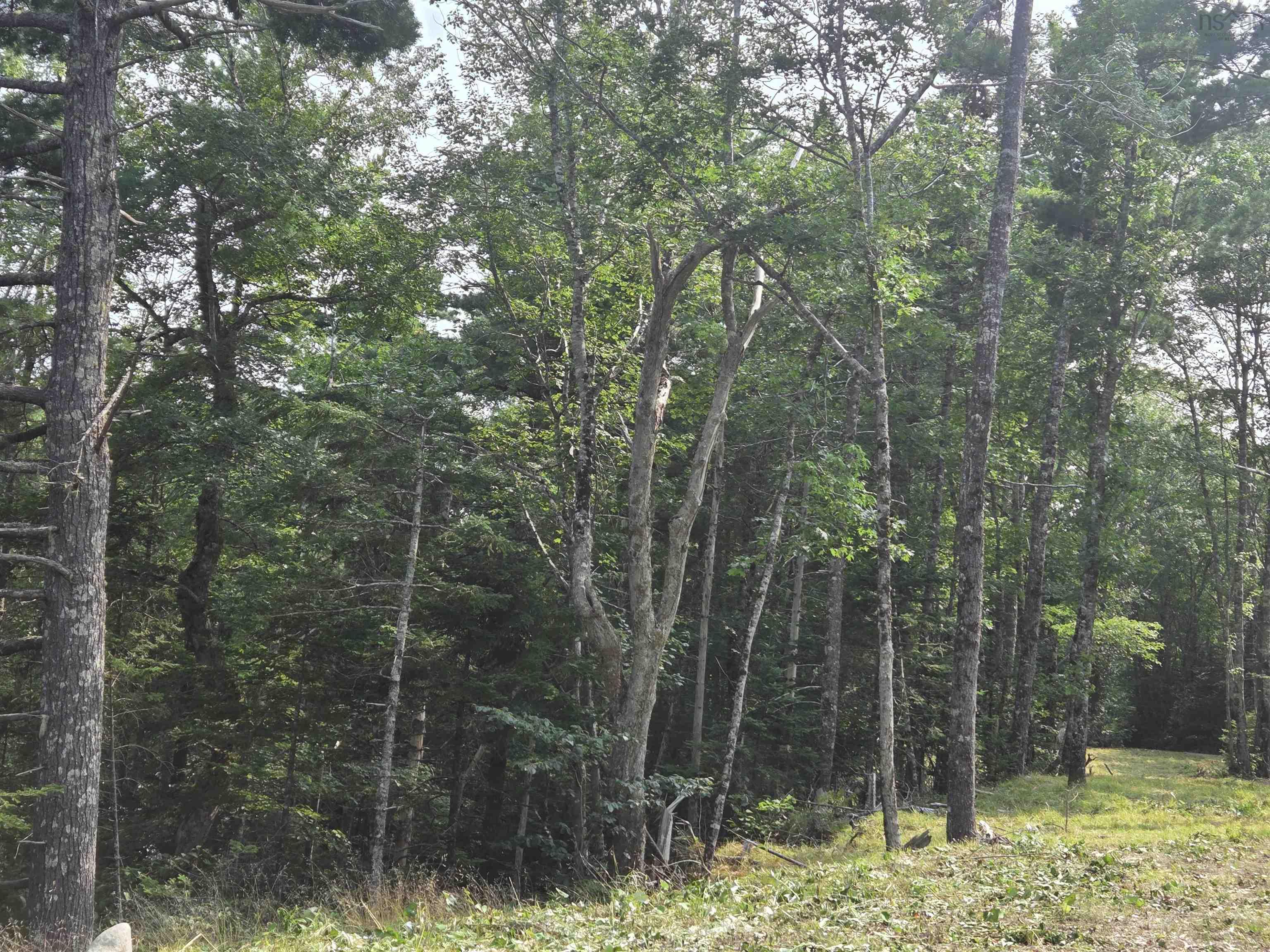 $69,000.00: Highway 103, Sable River