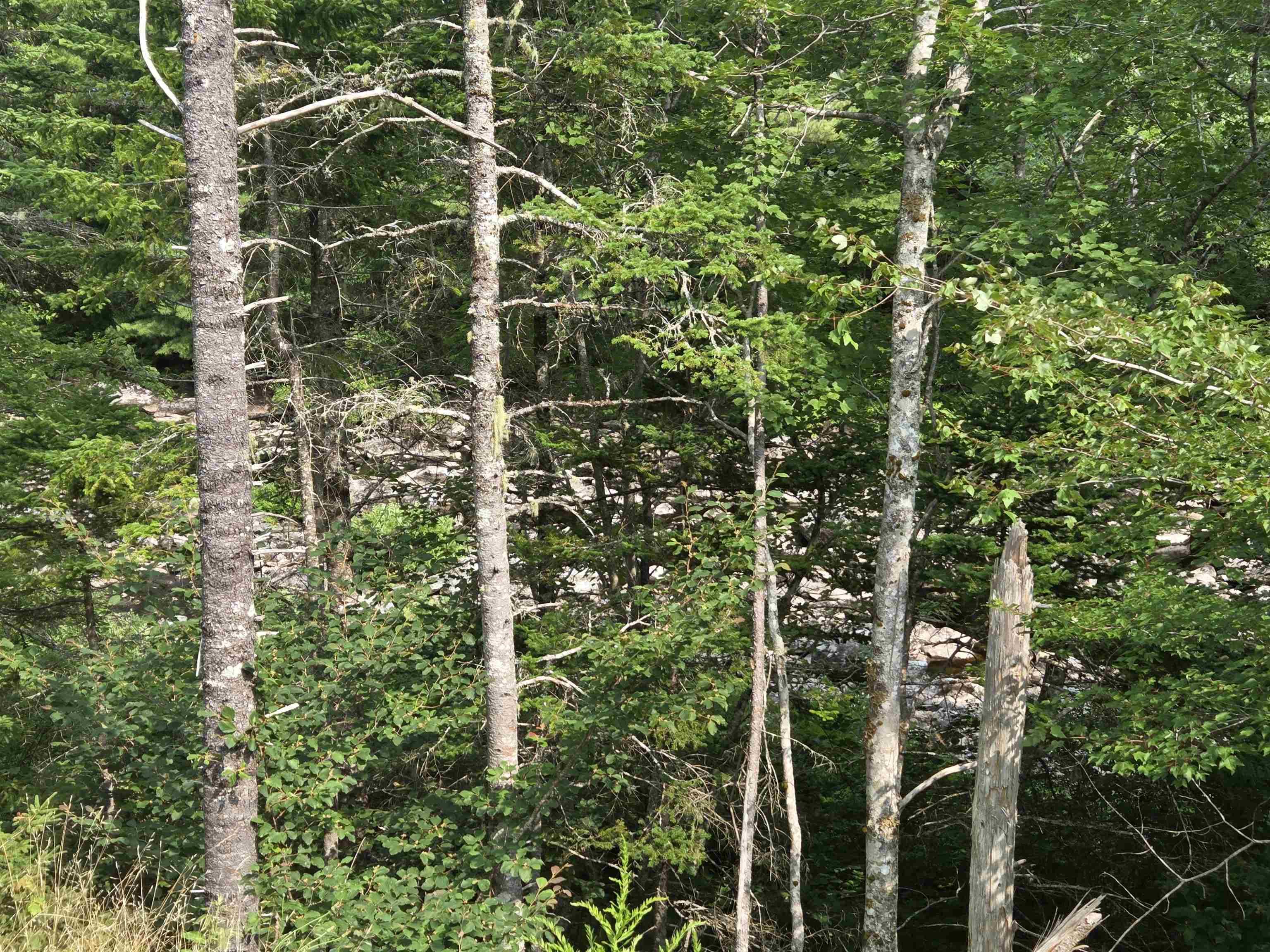 $69,000.00: Highway 103, Sable River