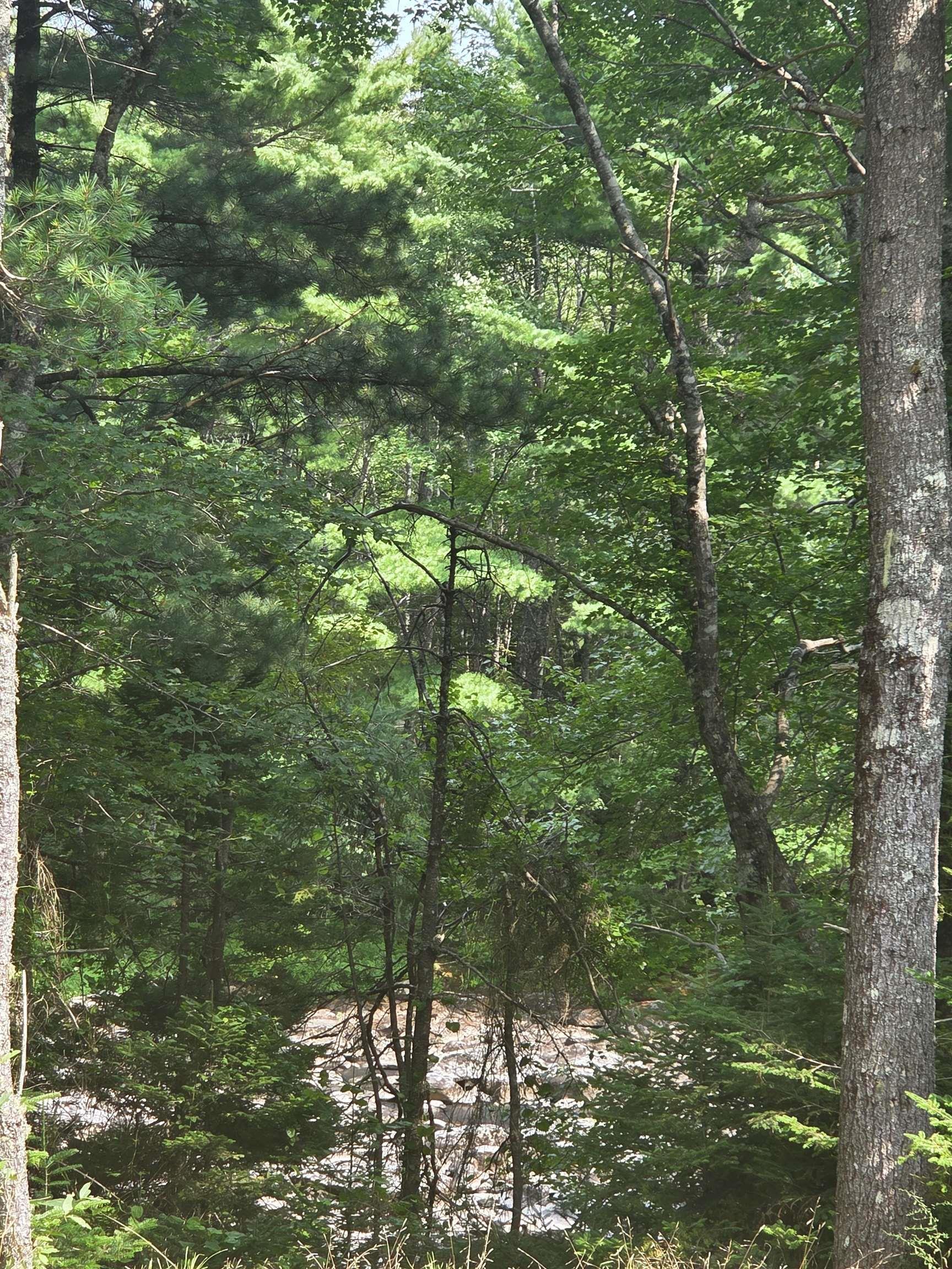 $69,000.00: Highway 103, Sable River