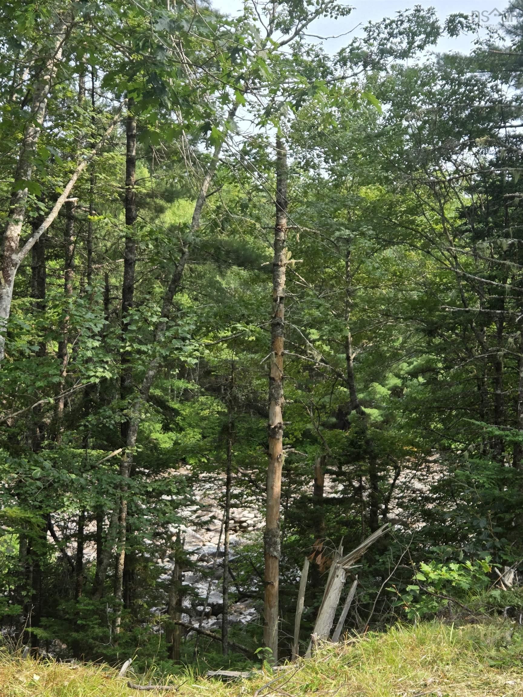 $69,000.00: Highway 103, Sable River